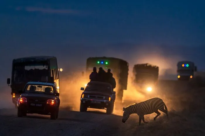 67 Incredible Shots By Indian Wildlife Photographer, Varun Aditya