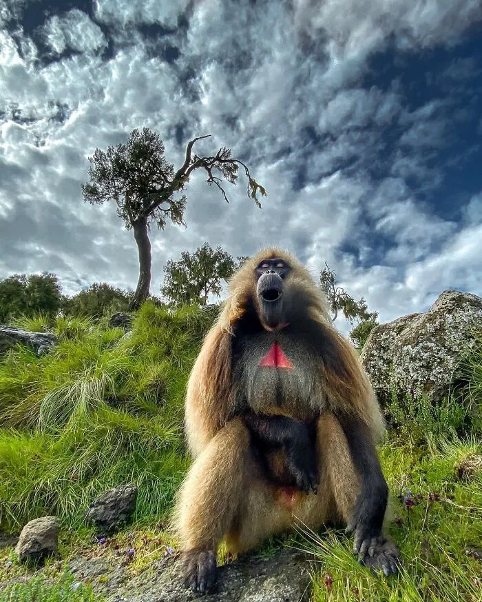 67 Incredible Shots By Indian Wildlife Photographer, Varun Aditya