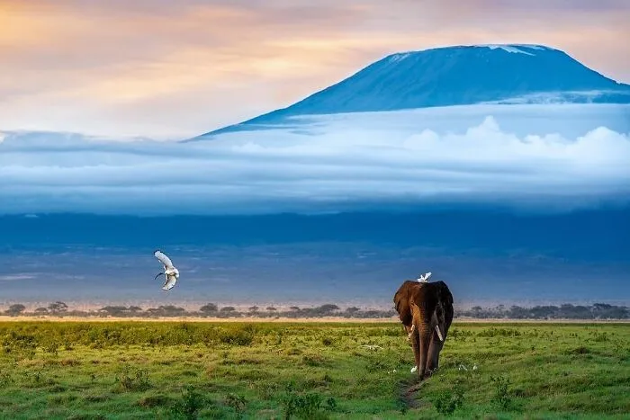 67 Incredible Shots By Indian Wildlife Photographer, Varun Aditya