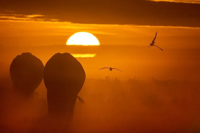 67 Incredible Shots By Indian Wildlife Photographer, Varun Aditya