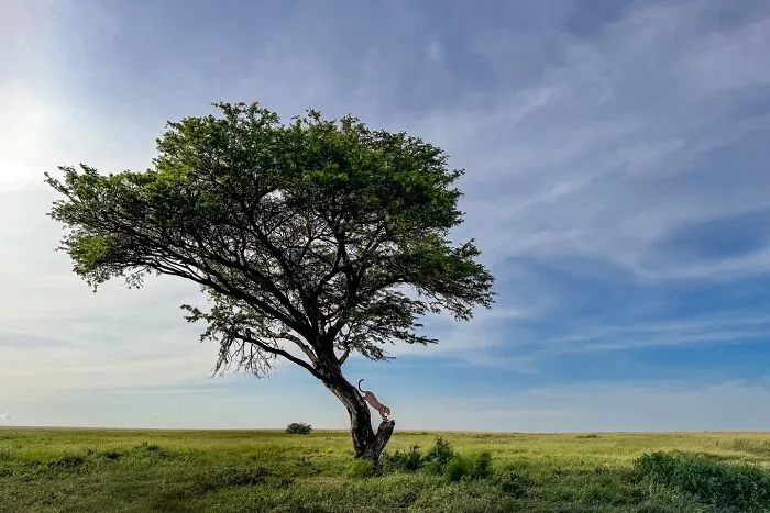 67 Incredible Shots By Indian Wildlife Photographer, Varun Aditya