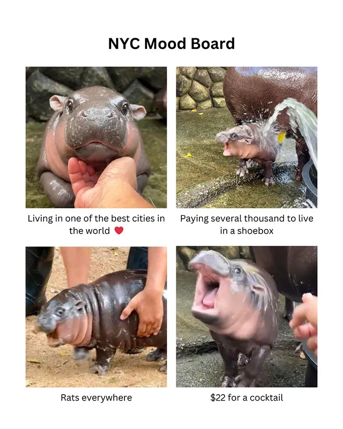 “NYC Mood Board”