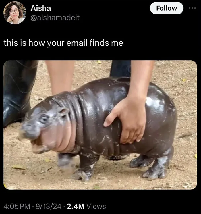 “How Your Email Finds Me"