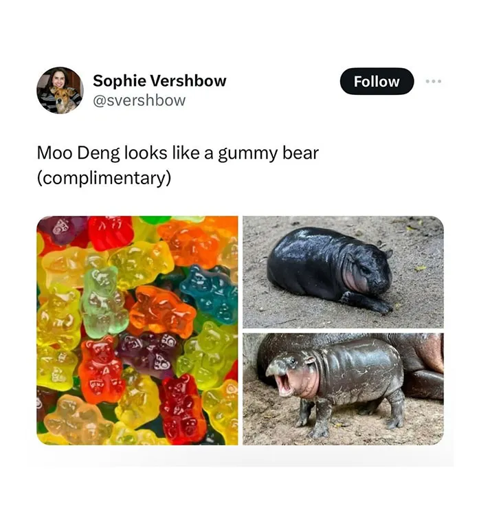 Gummy Deng