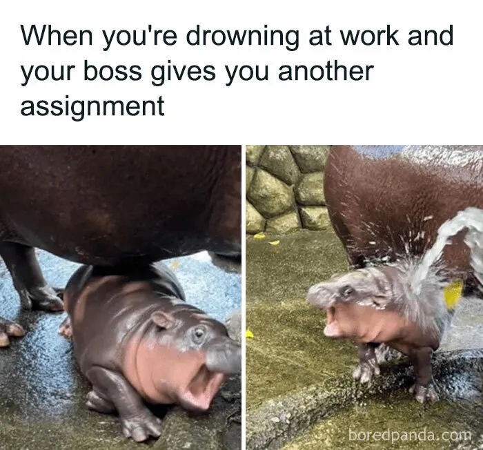 “When Boss Gives You Another Assignment”
