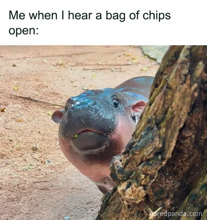 The Peek Face