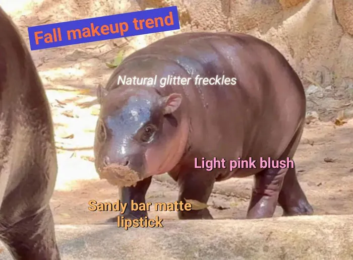 Fall Makeup Trends