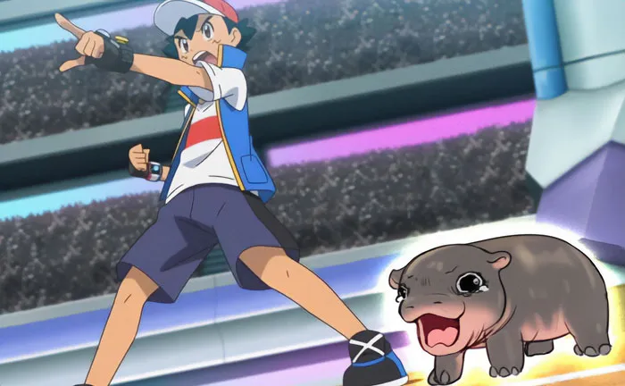 Poke Moo Deng