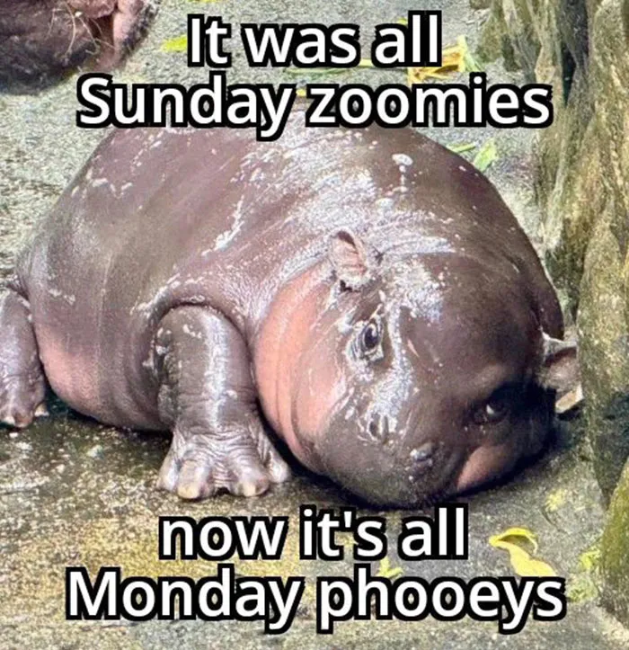 From Sunday to Monday