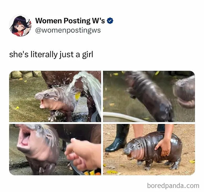“Just a Girl”
