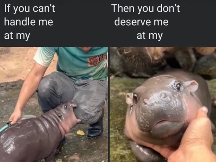 “You Don’t Deserve Me...”