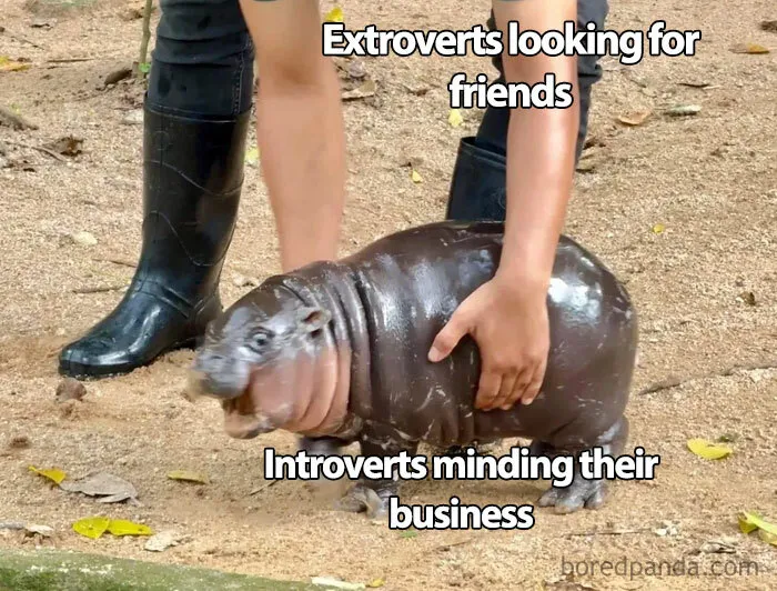 Extroverts vs Introverts