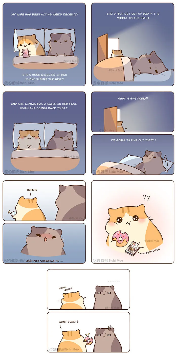 30 Heartwarming Cartoons By Olive Yong Featuring Chubby Cats Dealing With Everyday Challenges (New Pics)
