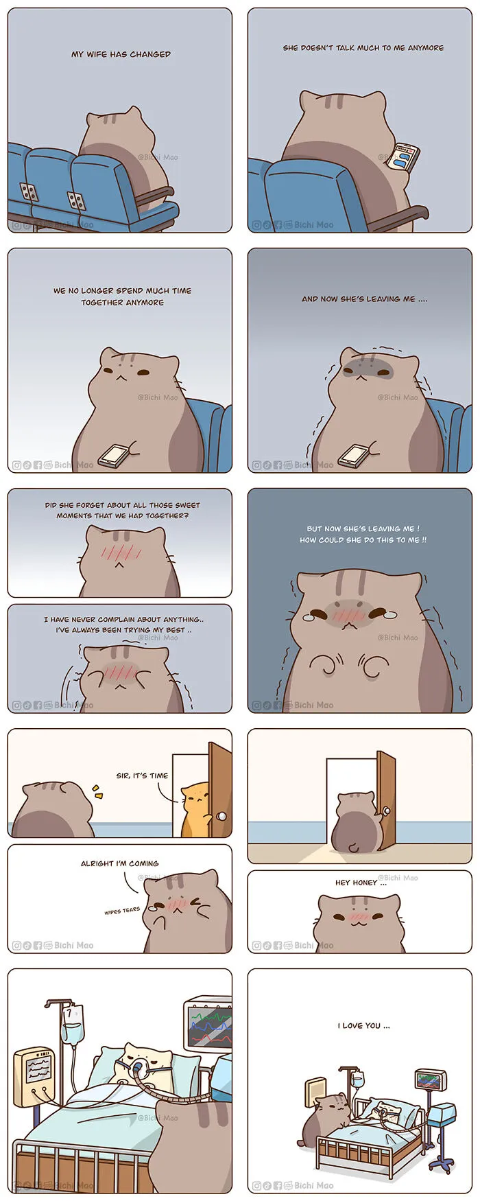 30 Heartwarming Cartoons By Olive Yong Featuring Chubby Cats Dealing With Everyday Challenges (New Pics)