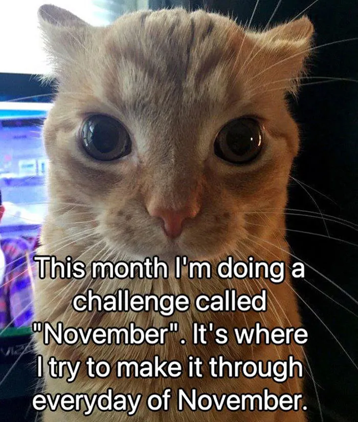 November Challenge
