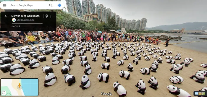 Ah! So Many Pandas!