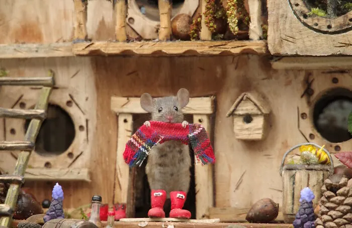 One Of The Mice Is Putting On His Boots And Scarf As It's Starting To Get Cold Outside