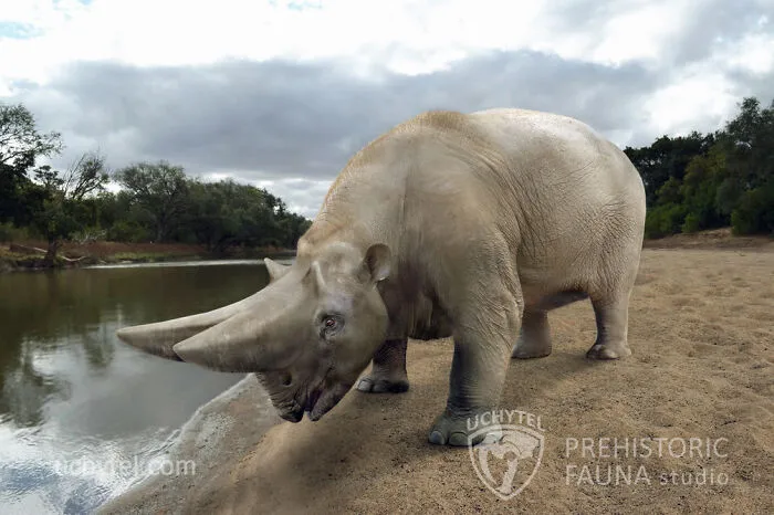 Arsinoitherium