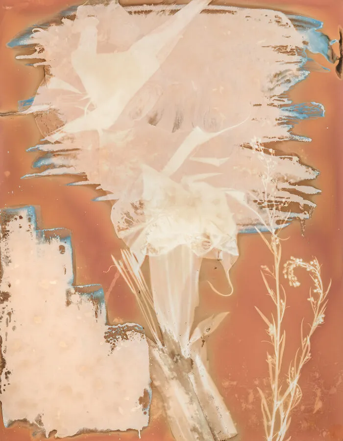 My Heart Exposed - Volume 1 - Sulis & Minerva III
