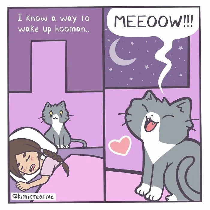 30 Comics That Illustrate Life’s Quirks By Kimi Creative (New Pics)