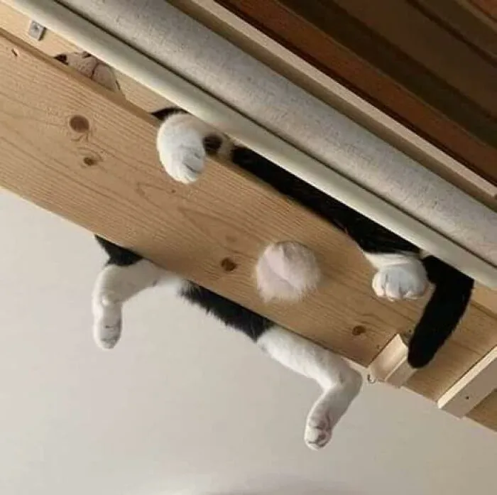 A Quindangle