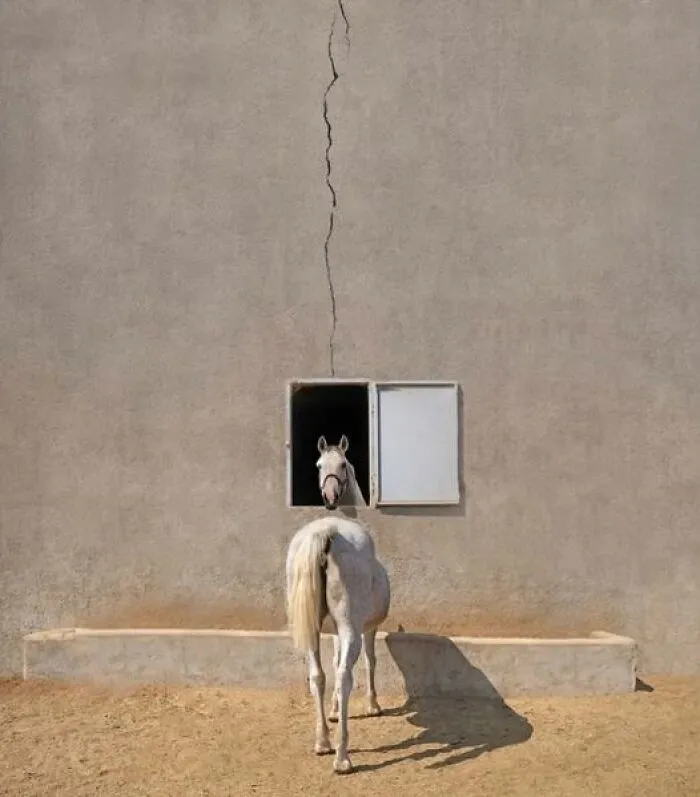 50 Puzzling Pics That Need To Be Looked At Twice To Understand What’s Happening