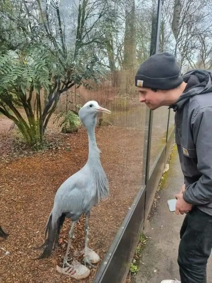 50 Puzzling Pics That Need To Be Looked At Twice To Understand What’s Happening