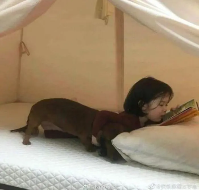 50 Puzzling Pics That Need To Be Looked At Twice To Understand What’s Happening