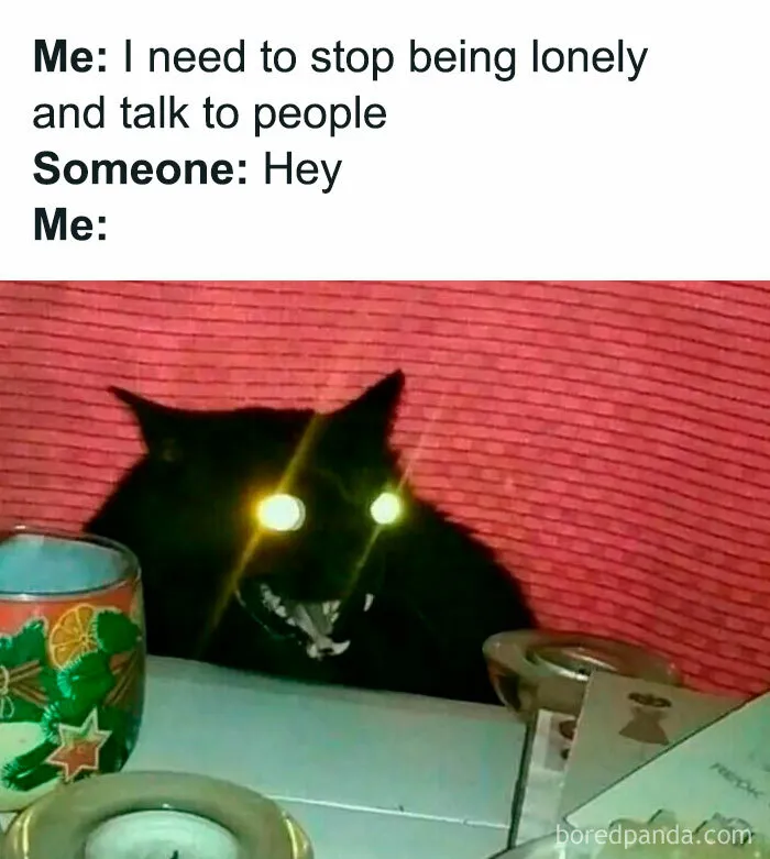 50 Hilarious Memes To Help Ease Your Anxiety With Laughter