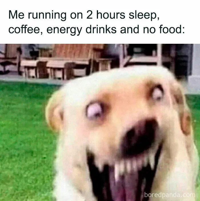 50 Hilarious Memes To Help Ease Your Anxiety With Laughter