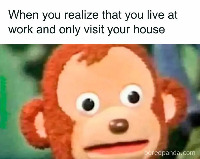 50 Hilarious Memes To Help Ease Your Anxiety With Laughter