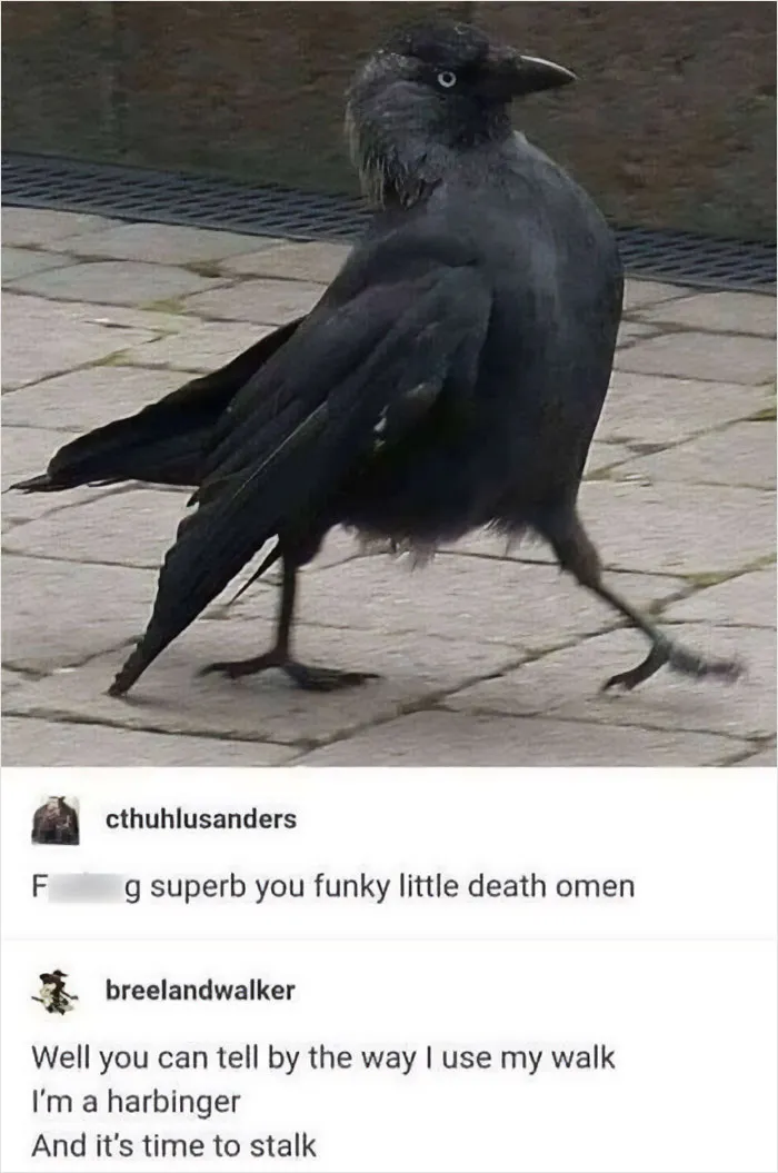 This IG Account Collects The Best Tumblr Posts And Here Are 50 Of The Funniest Ones