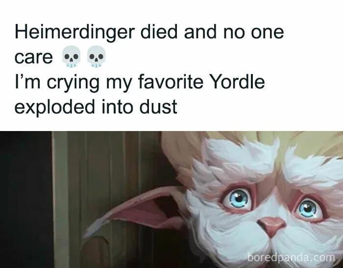 Heimerdinger