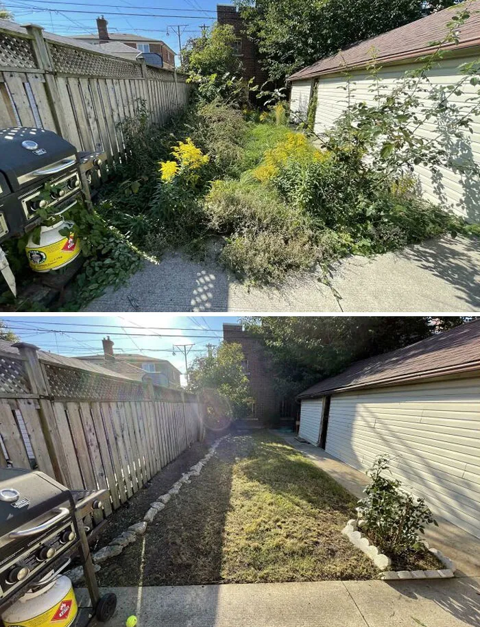 Top and bottom comparison of garden transformation, before-after-cleaning-pictures.