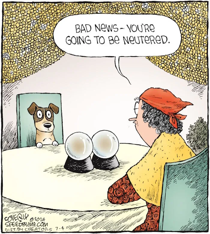 36 New One-Panel Comics About Funny Everyday Situations By Dave Coverly