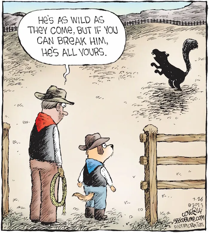 36 New One-Panel Comics About Funny Everyday Situations By Dave Coverly