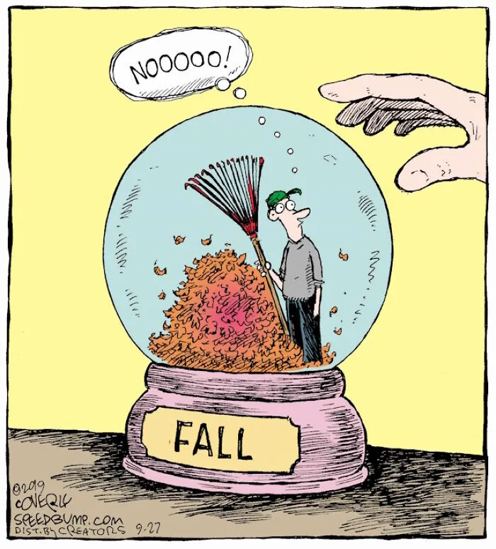 36 New One-Panel Comics About Funny Everyday Situations By Dave Coverly