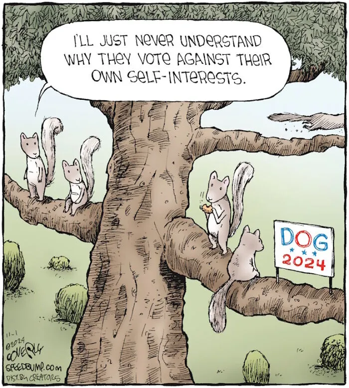36 New One-Panel Comics About Funny Everyday Situations By Dave Coverly