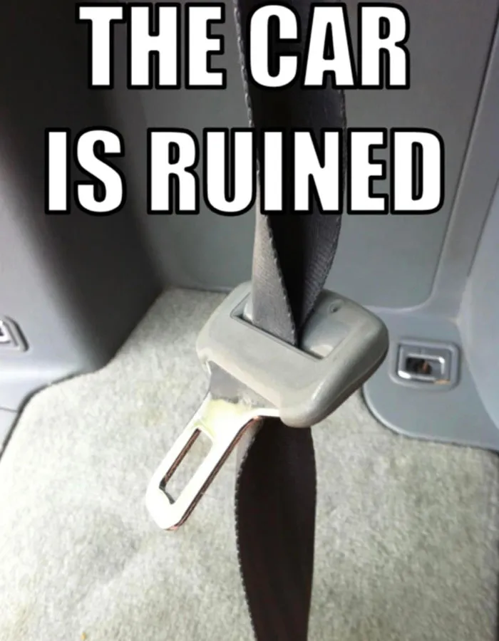 It’s Buckled Up