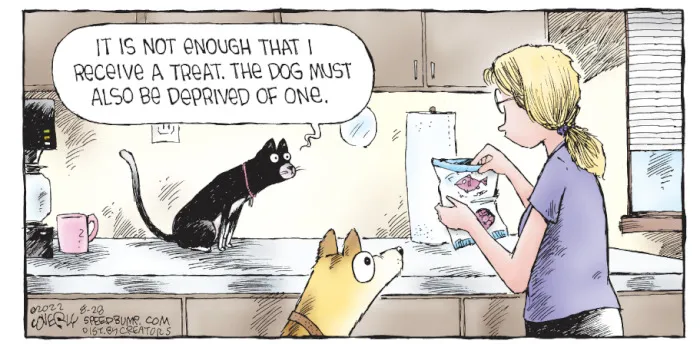 36 New One-Panel Comics About Funny Everyday Situations By Dave Coverly