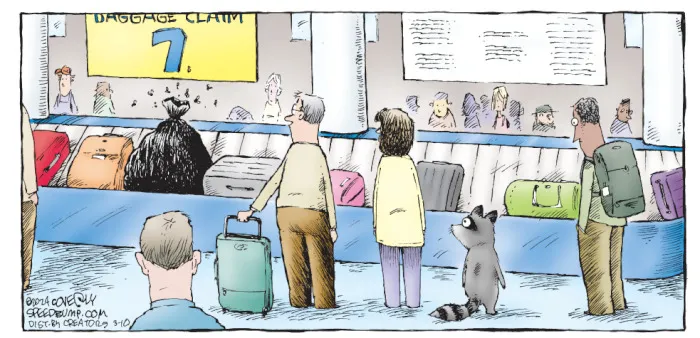 36 New One-Panel Comics About Funny Everyday Situations By Dave Coverly