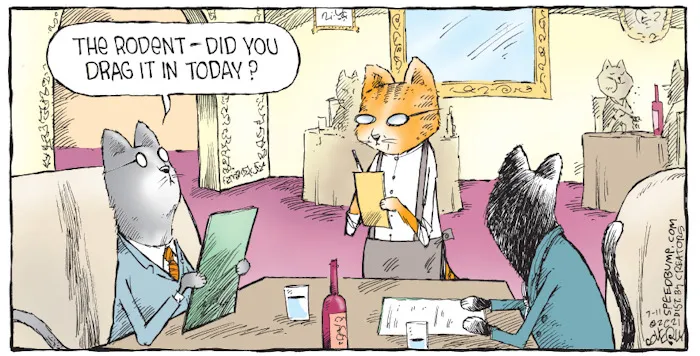 36 New One-Panel Comics About Funny Everyday Situations By Dave Coverly