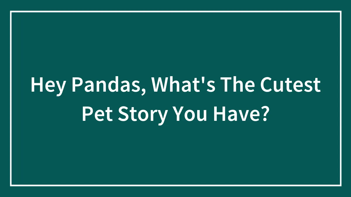 Hey Pandas, What's The Cutest Pet Story You Have? (Closed)