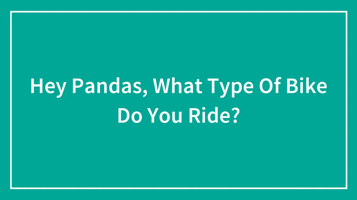 Hey Pandas, What Type Of Bike Do You Ride? (Closed)
