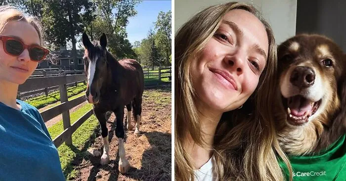 Amanda Seyfried Reveals Why Leaving Hollywood Was The “Best Decision”