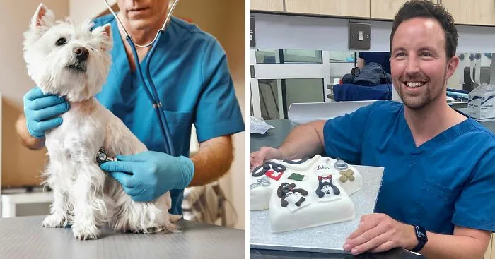 "So Heartbreaking": Vet Ends His Life After Rich Owners Neglected Pets And Demanded Euthanasia