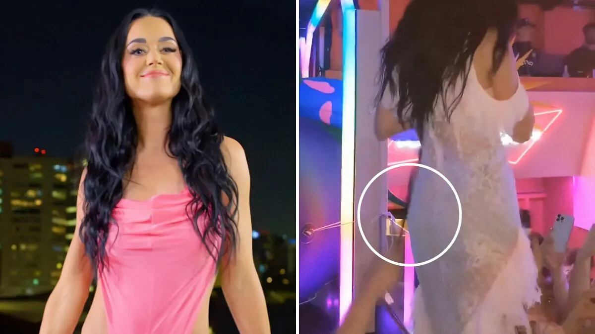 "Her Stylist Must Hate Her": Fan Pulls Hair Extension From Katy Perry’s Head In Wild Video