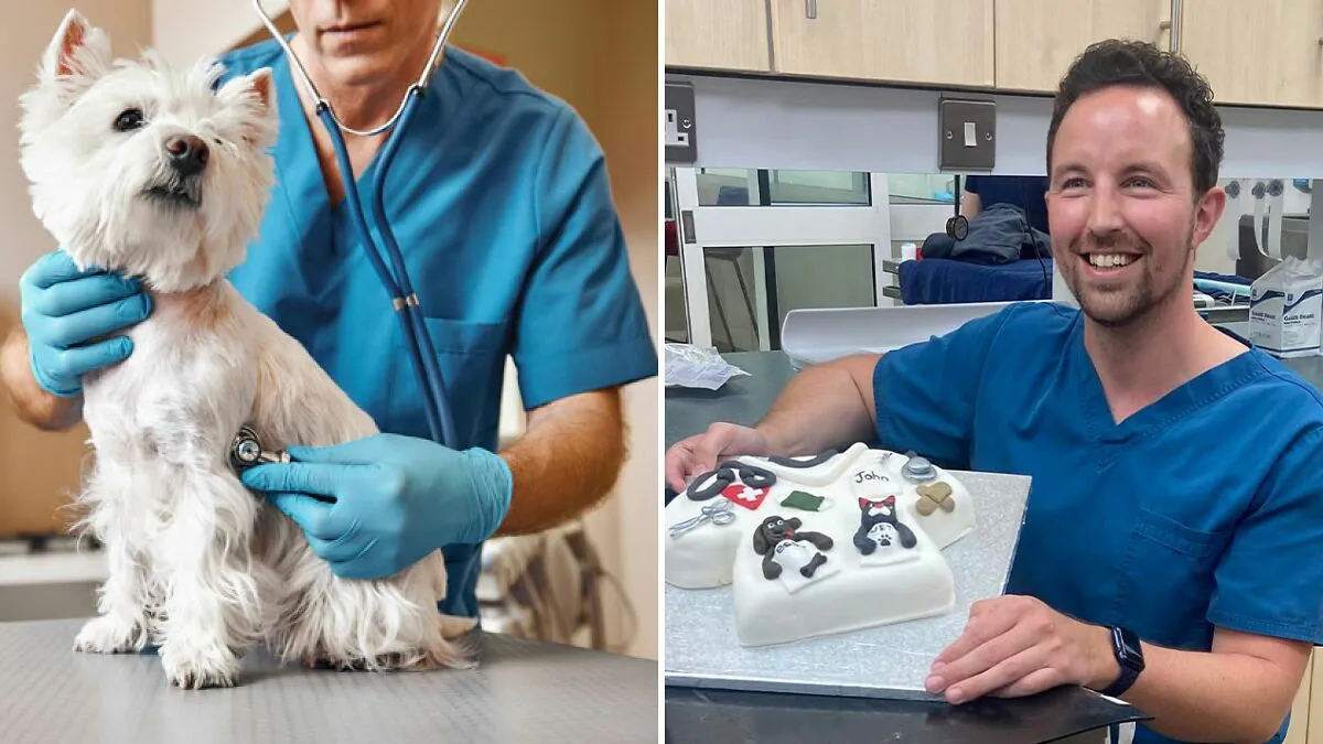 "So Heartbreaking": Vet Ends His Life After Rich Owners Neglected Pets And Demanded Euthanasia