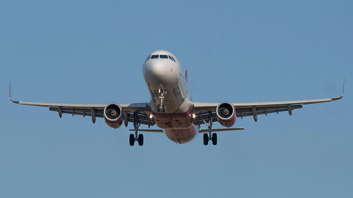 Terrifying Simulation Reveals What Happened To 2 Men Who Hid Inside A Plane Wheel For 11 Hours