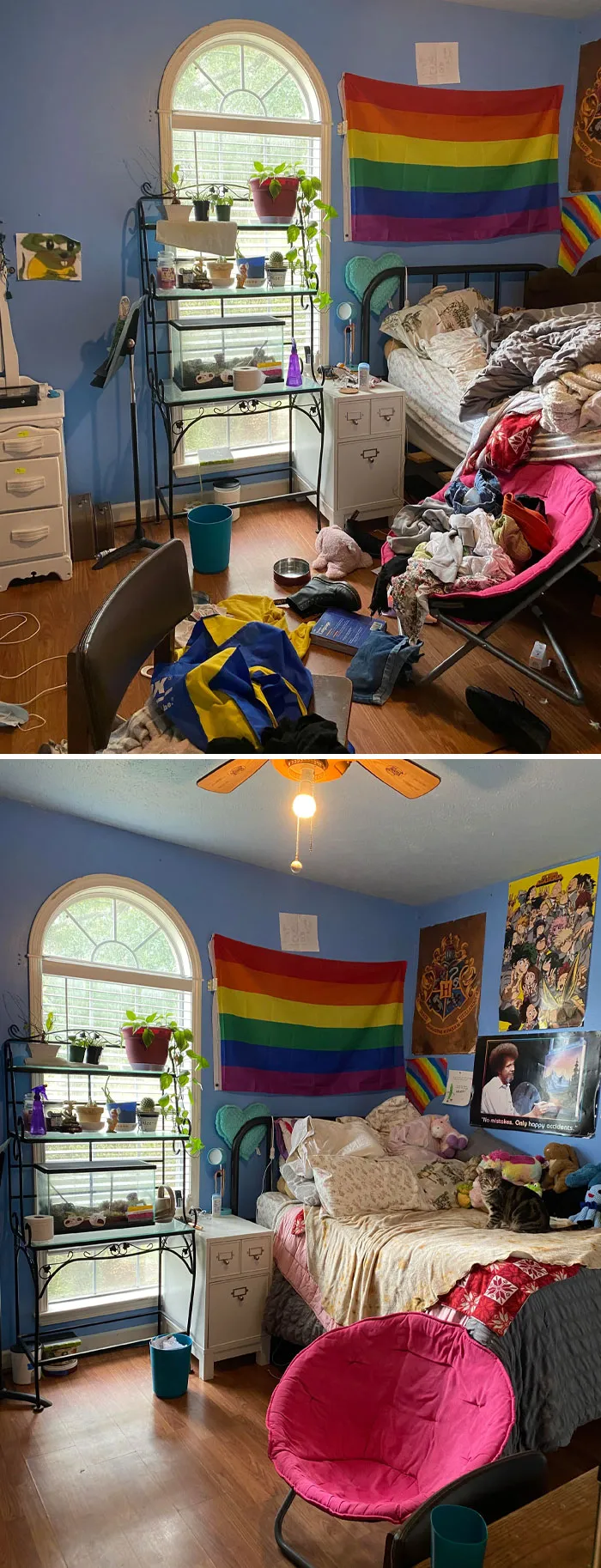 I Cleaned My Depression Room